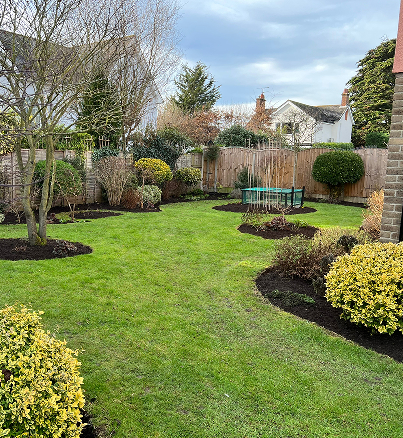 Professional garden maintenance Essex