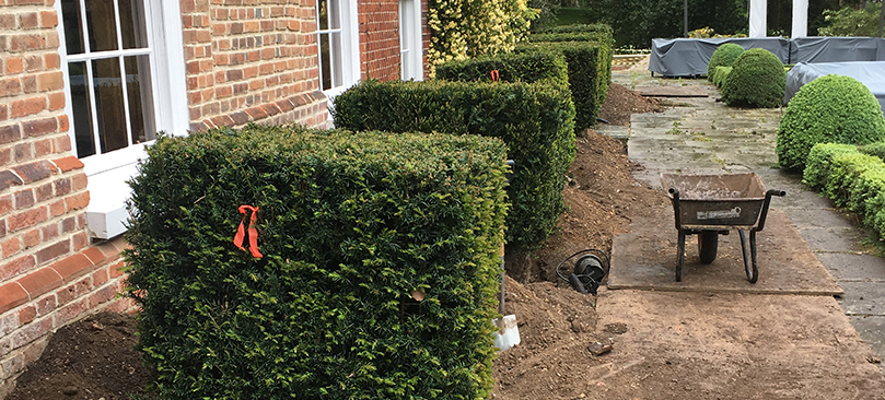 regular maintenance of gardens in Essex