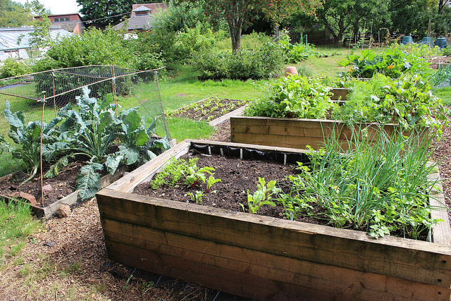 garden beds