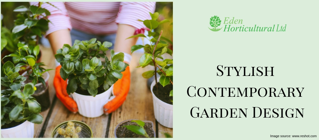 25 Tips for a Stylish Contemporary Garden Design