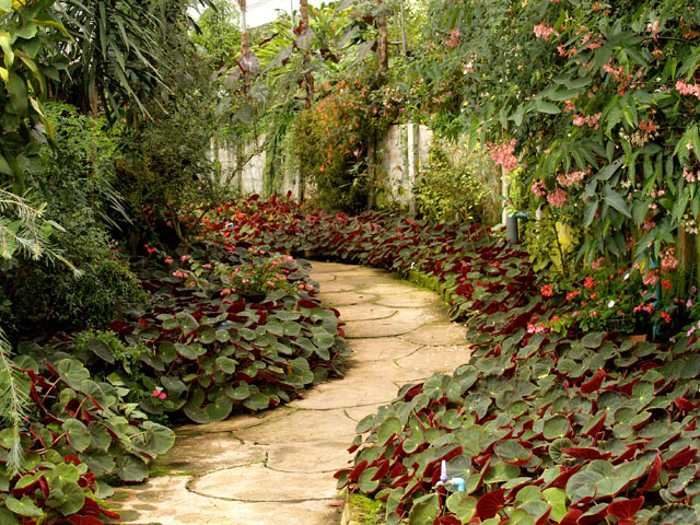 Low Maintenance Garden Ideas Design 2020 - Low Maintenance Garden Path