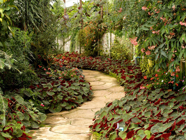 garden path