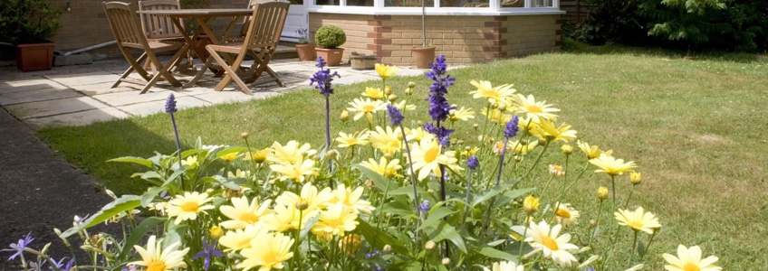 Small Garden Ideas on a Budget UK | Eden Horticultural Blog