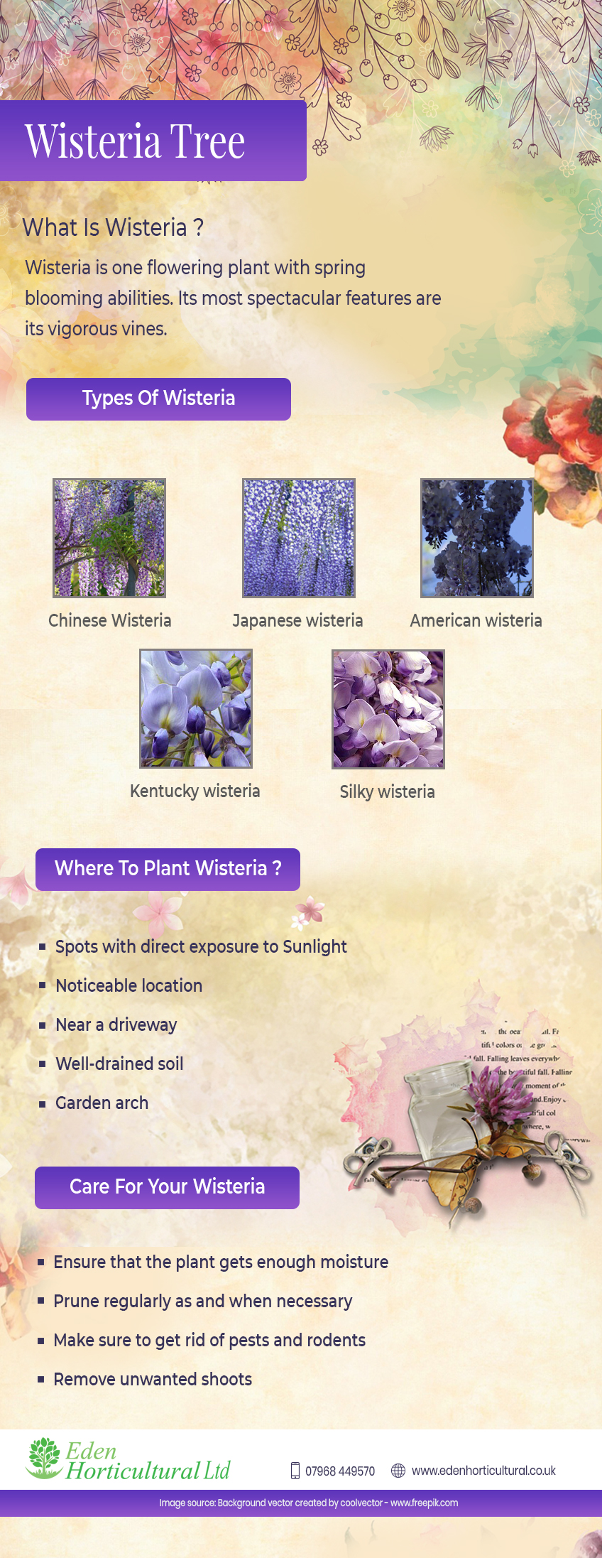 Wisteria tree infographic