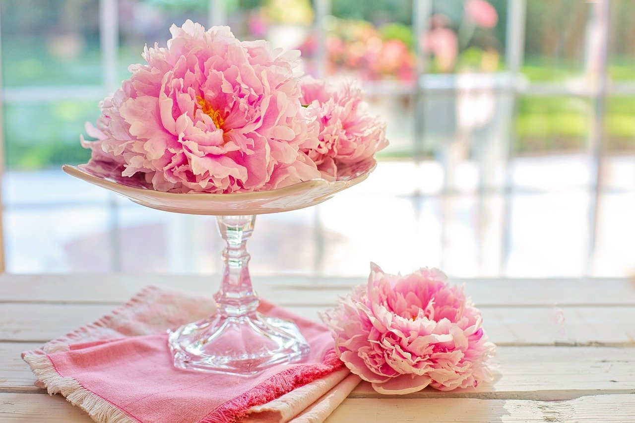 Peonies