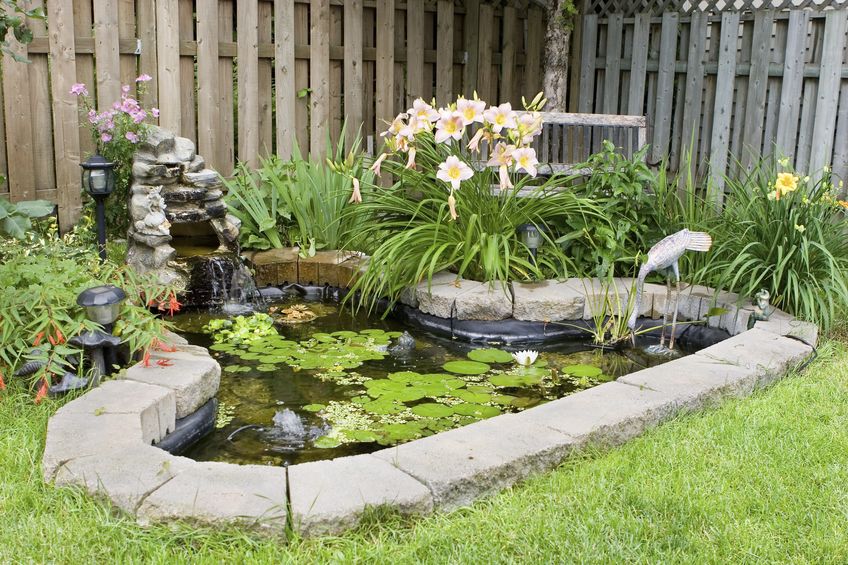 Pond Water Features