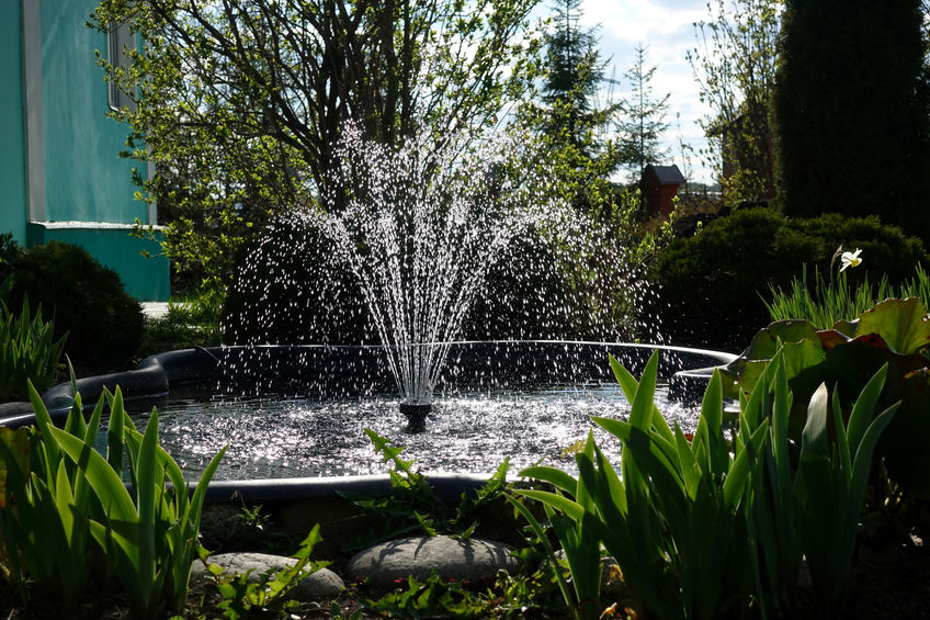 Water Fountain Garden