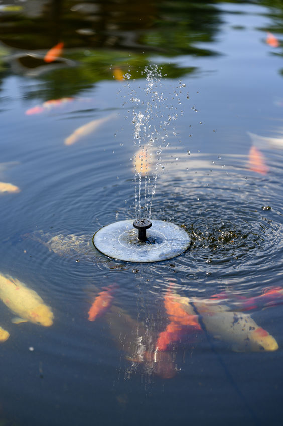 Small Solar Fountain