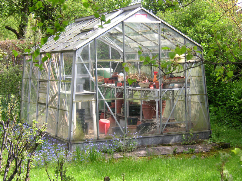 greenhouse at the bottom of the garden