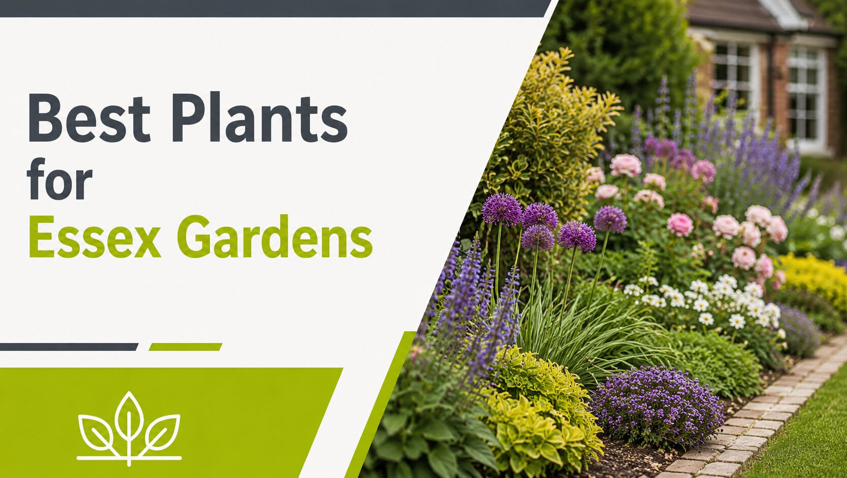 Choosing the Right Garden Plants: Horticultural Tips for Thriving Gardens