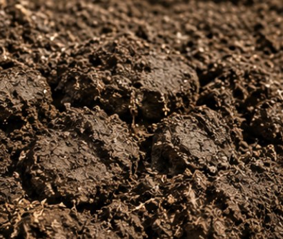 clay soil