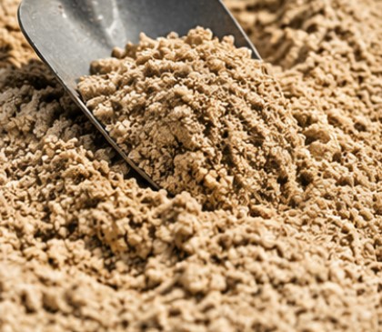 sandy soil