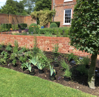Clients garden in Essex