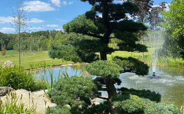 garden pond water feature